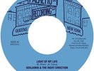 Rare Soul - Benjamin and the Right Direction - Light of my Life - Palmetto St
