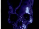 Phantom Chords 7