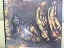 Japan Only Cover Promo LP    Black Widow / Sacrifice   High Tide FREE SHIPPING