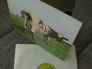 Pink Floyd , Lp--Atom Heart Mother , Top Excellent