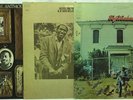 Taj Mahal LP Vinyl Record Lot: Anthology Volume I + Self Titled + Recycling the