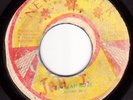 Rare 1976 Roots Reggae -  Jah Jah Robe - RISING SON - Orig NEW FLOWER 7