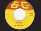 SURF GUITAR INSTRUMENTAL ROCKER- THE MARAUDERS- 