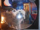 FALL OUT BOY | INFINITY ON HIGH PICTURE DISC VINYL RARE FOB