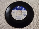 GROUP  THE SOOTHERS I BELIEVE IN YOU/LITTLE WHITE CLOUD THAT CRIED PORT M-