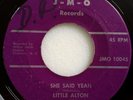 VG GARAGE PSYCH ROCK 45 / LITTLE ALTON & VELVATONES / SHE SAID YEAH  J-M-O 10045