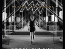 Martha Wainwright Goodnight City LP Vinyl BRAND NEW
