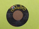 45 RPM Baby Sticks and the Kingtones  SHELLEY Pigmy  INSTRO- Ghoulardi