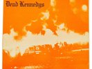 Vintage 80s Dead Kennedys Fresh Fruit For Rotting Vegetables Punk Album Record V