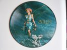 Toyah Anthem 1981 Picture Disc Safari Records Vinyl Album VOOR P1 Wilcox