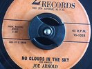Joe Arnold - No Clouds In The Sky 7