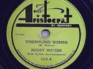 BLUES -MUDDY WATERS 