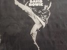 DAVID BOWIE - THE MAN WHO SOLD THE WORLD (Vinyl,LP Album RCA Colombia 1973)