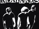 Grown Up, Fucked Up by The Reatards  Vinyl Lp Garage Lofi Punk Rock