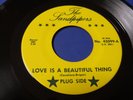 THE SANDPIPERS Love is a beautiful thing OBSCURE Orig '67 GARAGE 45 Pensacola FL