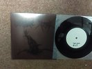 Nunslaughter / Perversor 7