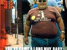 Fatboy Slim-You`Ve Come A Long Way Baby  VINYL NEW