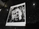 Blondie - Debbie Harry - Original Press Promo Photo - B/W 10X8