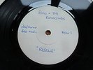 Echo and The Bunnymen - Rescue 1985 UK 45 DJ WHITE LABEL PROMO
