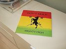 Gov't Mule ?– Mighty High / Vinyl 2LP 180gr / RAR / TOP