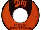 JIMMY BO HORNE 45 Hey There Jim / Don't Throw Your  DIG Rec Miami SOUL FUNK Hear
