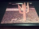 INDIAN SUMMER RARE 1971 LP PROG RCA NEON NE 3