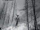 Phlegein - From the Land of Death LP Black Metal Vinyl 2016