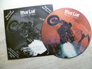 Meat Loaf - Bat out of hell 12`Maxi Picture Vinyl sehr gut erhalten