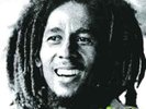 Bob Marley and The Wailers-Kaya  Vinyl / 12