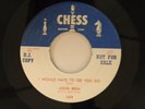 John Brim blues 45 I WOULD HATE TO SEE YOU GO/GOT ME WHERE YOU WANT   Chess VG++