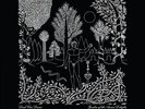 Garden of the Arcane Delights/Peel Sessions * by Dead Can Dance.
