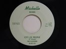 The Illusions 45 CITY OF PEOPLE / WAIT TILL THE SUMMER VG+ toVG++Michigan garage