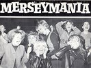 '60s HURRAH LABEL LP-BILLY PEPPER & THE PEPPERPOTS-MERSEYMANIA-REALLY NICE COPY.