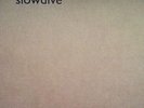 SLOWDIVE - Hide Yer Eyes LP - Black Vinyl - NEW COPY - I Saw The Sun Unreleased