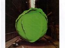 THE METERS Cabbage Alley REPRISE RECORDS Sealed Vinyl Record LP