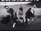 BEASTIE BOYS - CHECK YOUR HEAD(REMASTERED ED) - 2VINYLS