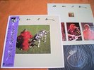 RUSH - SIGNALS  Japan obi