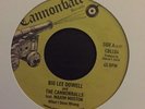 BIG LEE DOWELL AND THE CANNONBALLS - What I Done Wrong