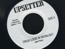 1711 LEE PERRY-DREADLOCKS IN MOONLIGHT-UPSETTERS- REGGAE 45 7