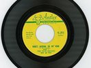 The Teen Queens 1959 Antler 45rpm There's Nothing On My Mind Part 1&2 Buck Ram