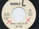 HEAR- Rare Doo Wop 45 - Roy Tyson - Oh What A Night For Love- Double L 723-Promo
