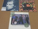 Van Morrison LP Records  Irish Heartbeat Chieftons  Into The Music  Sense Wonder