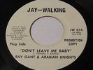 RAY GANT & ARABIAN KNIGHTS Don't Leave Me Baby/I Need A True Love 45 Jay-Walking
