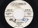 '59 Nashville FRANTIC Shouters LITTLE IKE She Can Rock/Am I Losing You M- HEAR
