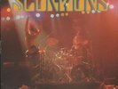 Scorpions The Zoo 7