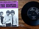 HOLLAND Yesterday Dizzy Miss Lizzy Beatles vinyl 45 1965 picture sleeve