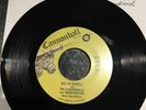 Big Lee Dowell And The Cannonballs - What I Done Wrong, 7