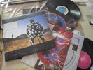 PINK FLOYD DELICATE SOUND OF THUNDER RECORD LP 12