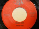 THOSE GUYS sinner man / you're gonna leave me 45 on IGL --- iowa garage psych