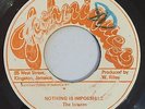 INTERNS ( VICEROYS ) - NOTHING IS IMPOSSIBLE - TECHNIQUES ( ROOTS REGGAE 7 )